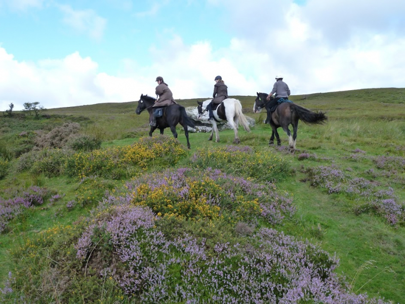 Ireland on horseback