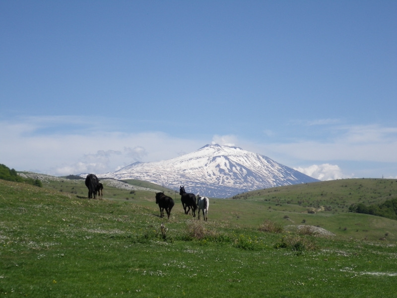 week holiday Italy horse riding