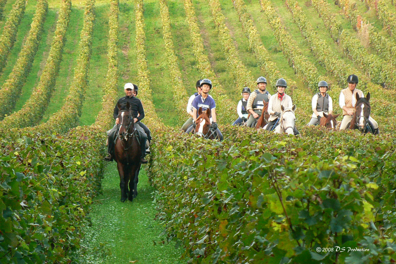 South of France horse riding