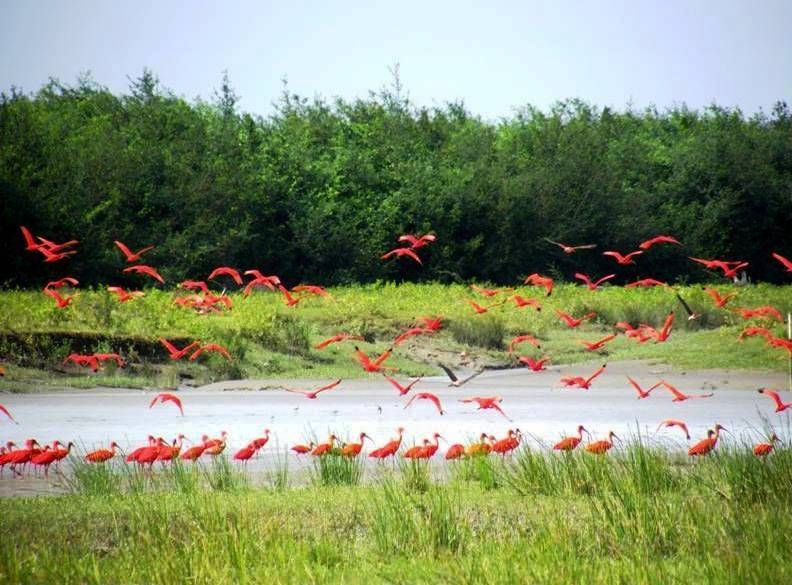 horse trail riding in Brazil