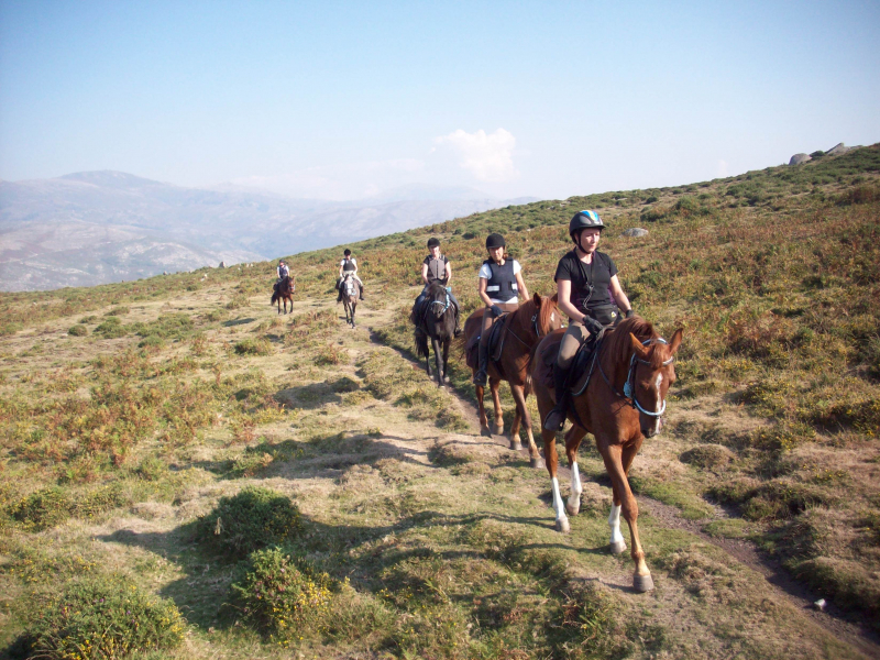 equestrian dressage in Portugal