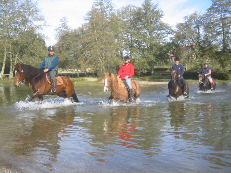 Portugal dressage clinic