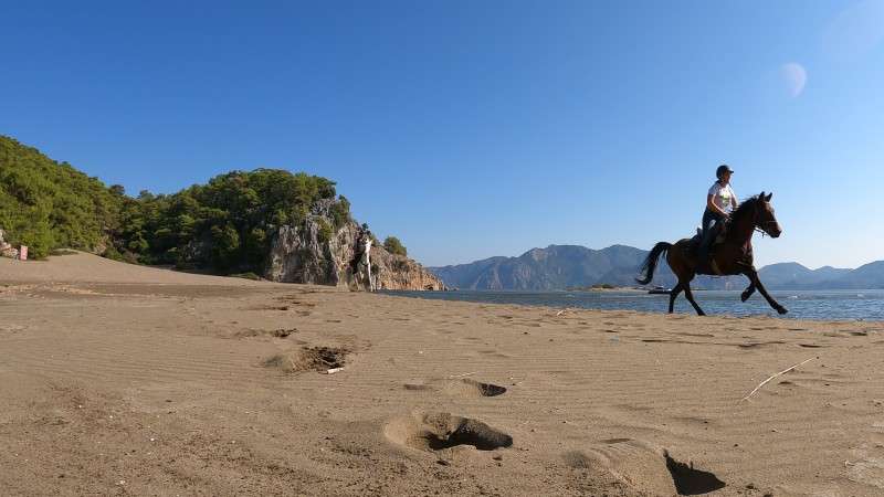Galop à cheval sur le sable de la plage à Iztuzu en Turquie