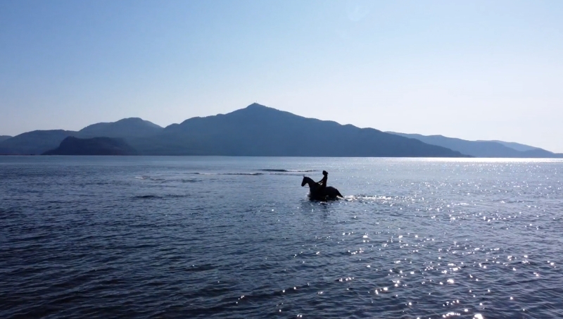 Cheval dans la mer en Turquie