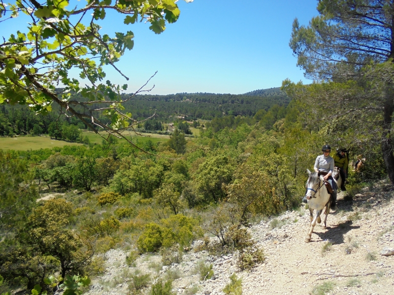 Balade à cheval dans le Luberon