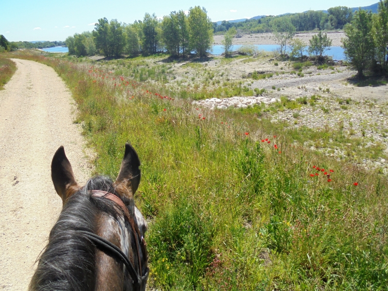 Promenade à cheval dans le Luberon