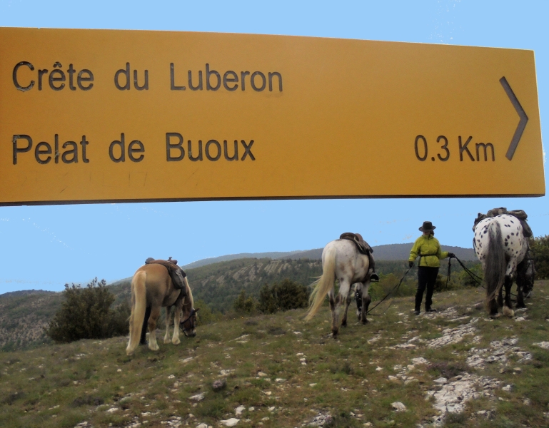 tourisme à cheval dans le Luberon