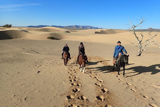 Mongolie a cheval