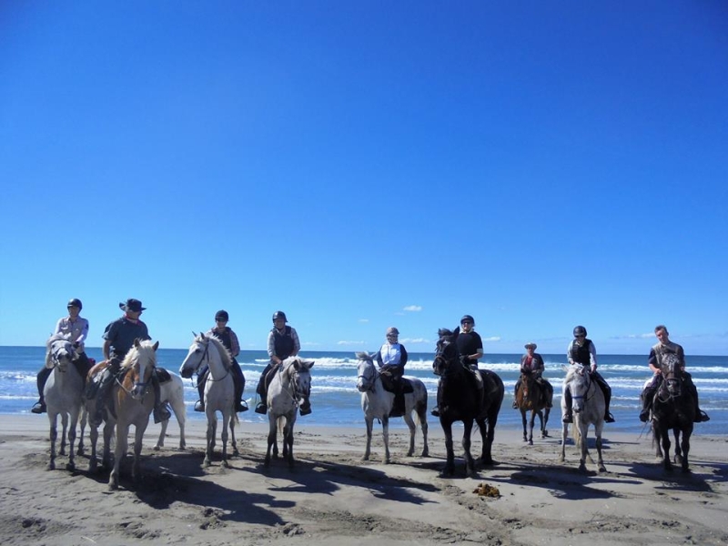 equestrian holiday in Provence