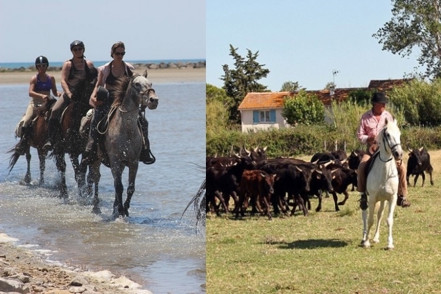 horseback ride in Camargue