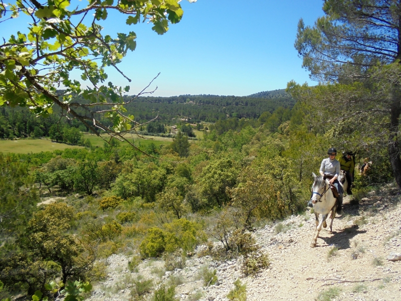 week end équestre dans le Luberon