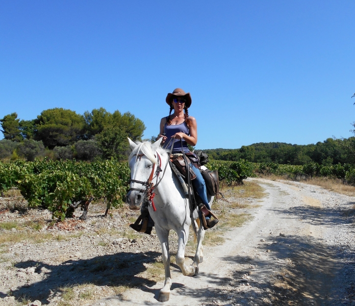 horseback ride in provence