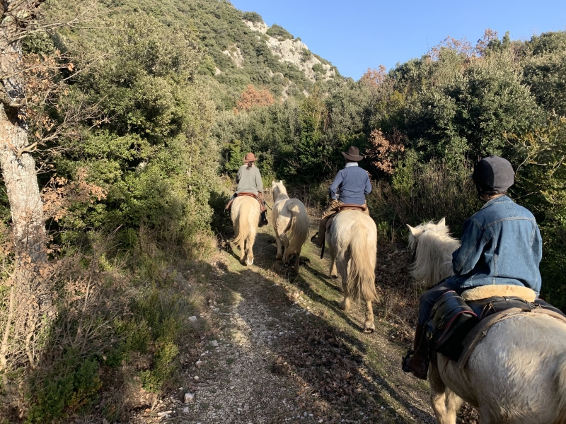 horseback trail ride in provence