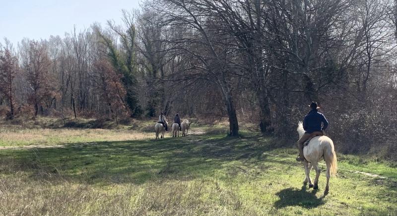 horseback vacation in provence