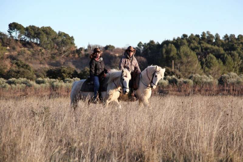 horseback holiday in provence