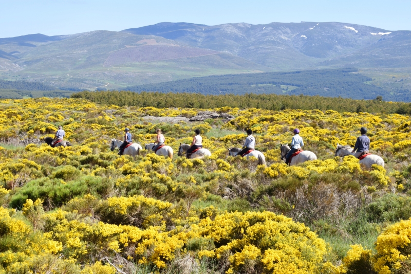 voyage à cheval Espagne