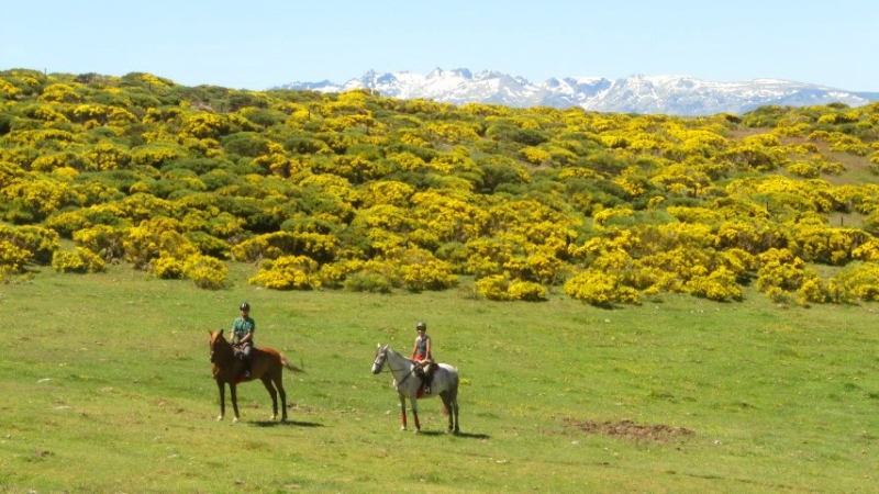 tourisme équestre en Espagne