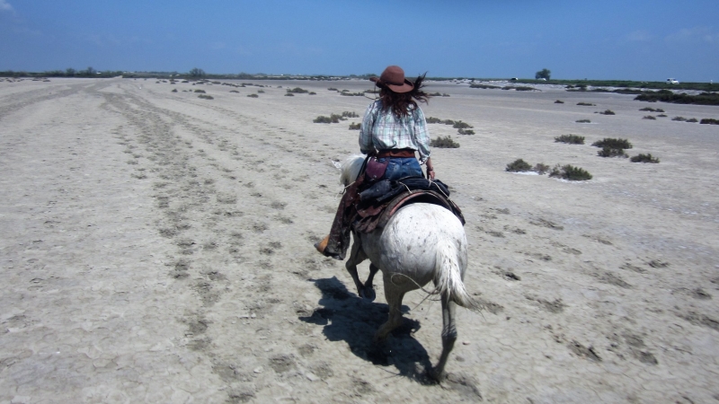 camargue horse riding vacation