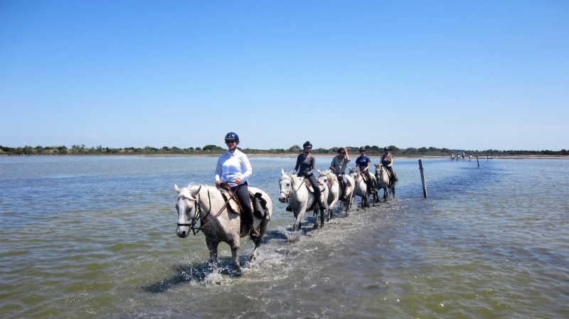 visit camargue horse riding