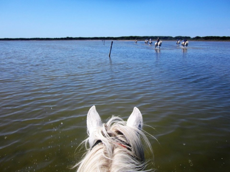 Camargue à cheval