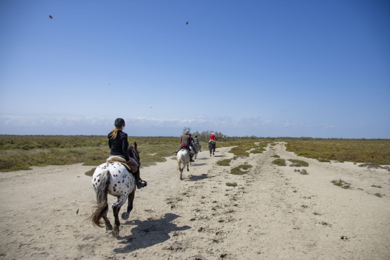 semaine randonnee a cheval en Camargue