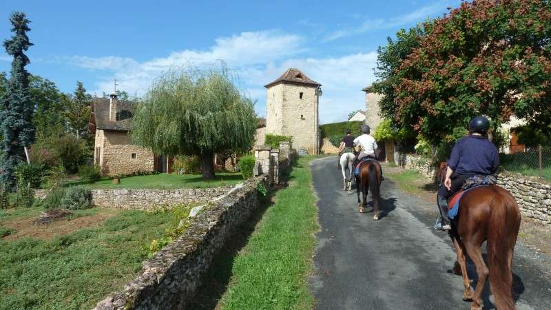 horseback trail ride bordeaux
