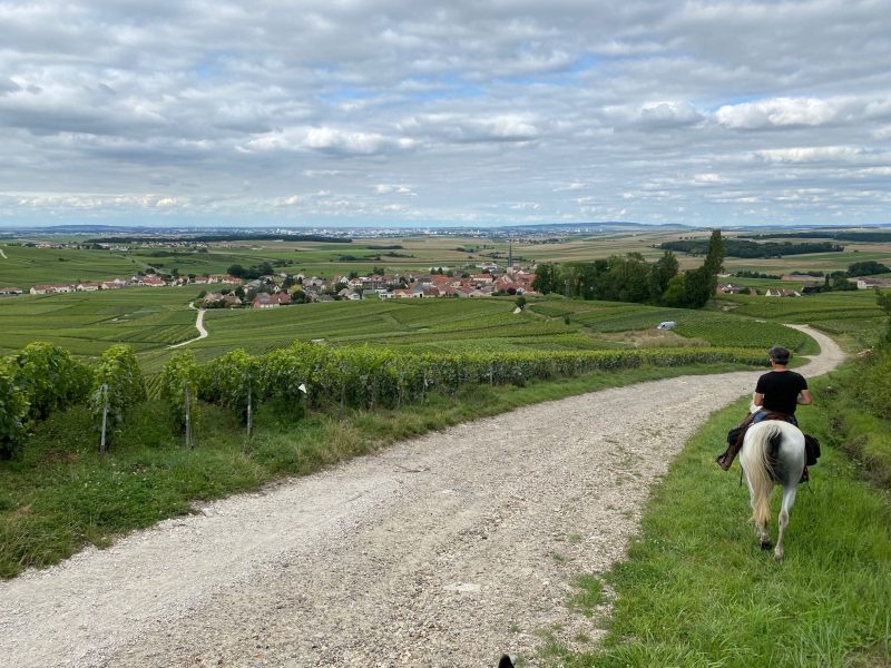 horse riding in France