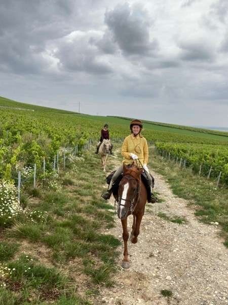 horse riding trip in champagne