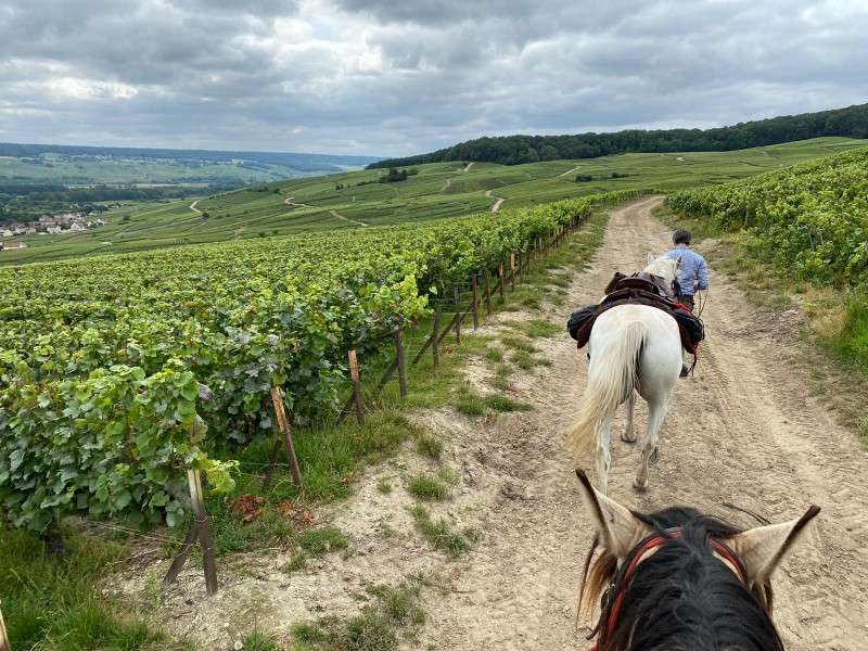 Champain horseback ride