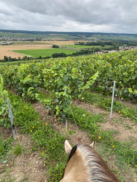 horse riding trip in France