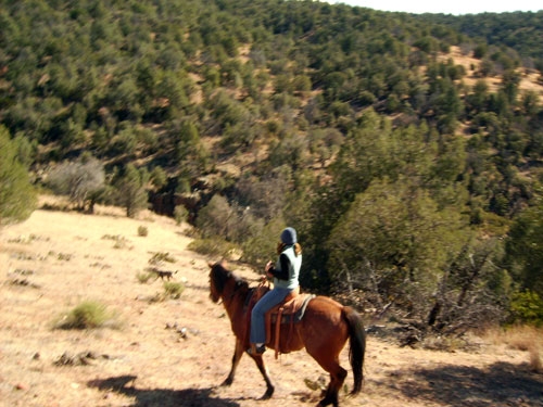 sejour equestre en ranch usa