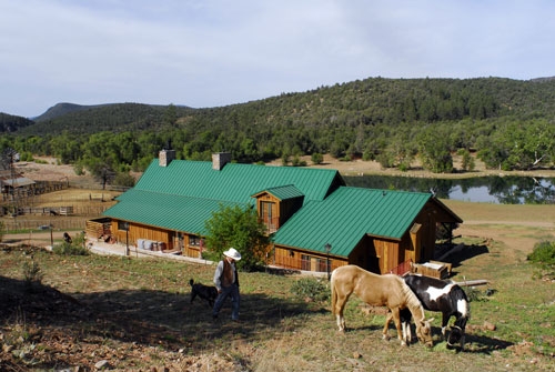 cheval dans un ranch usa