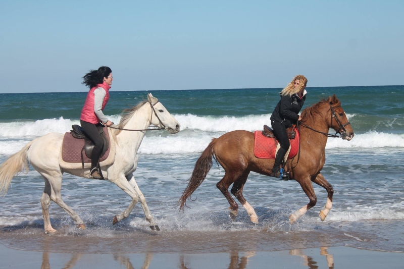 horseback trail riding in spain