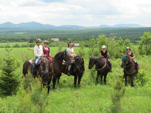 Randonnée à cheval au QUEBEC cabane a sucre