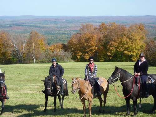 Randonnée à cheval au QUEBEC, chevauchée authentique au Québec, forêt