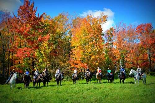 Voyage à cheval au QUEBEC, chevauchée authentique au Québec