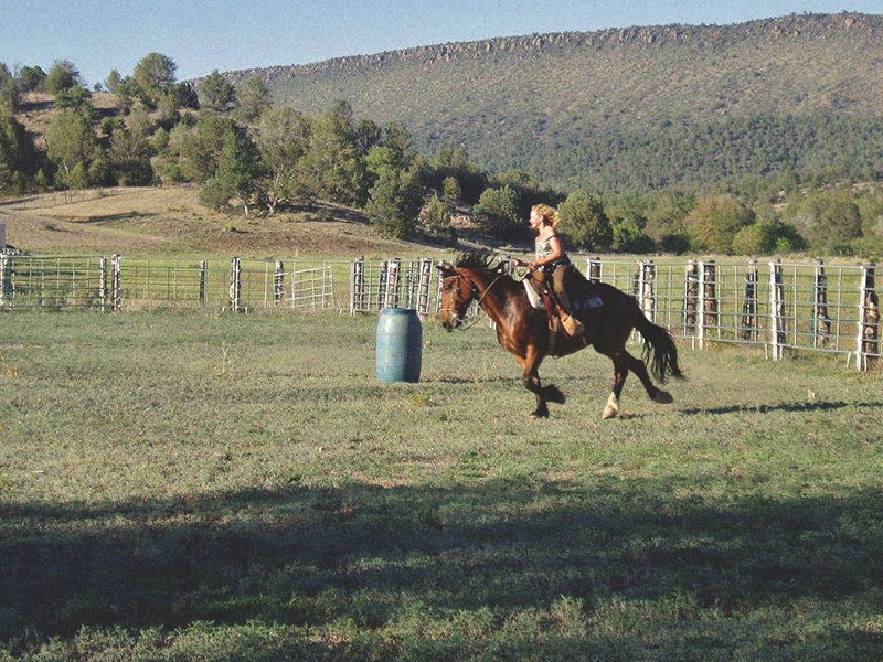 team penning