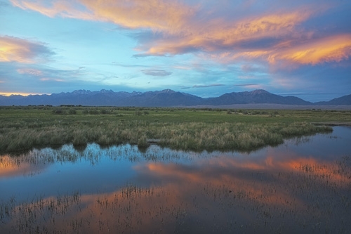 voyage cheval montana usa