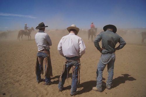 sejour equestre en ranch usa