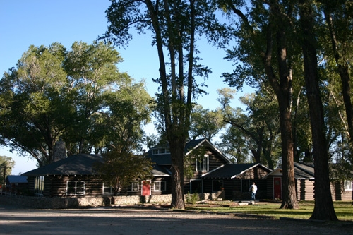 cheval dans un ranch usa