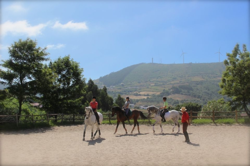 stage équitation au Portugal
