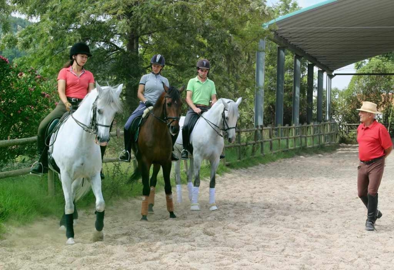 stage équitation au Portugal