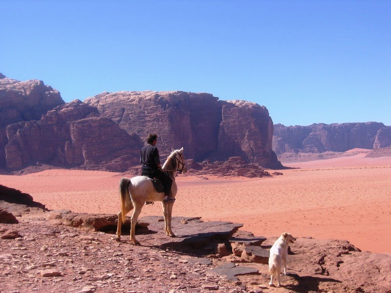 equestrian ride in Jordan