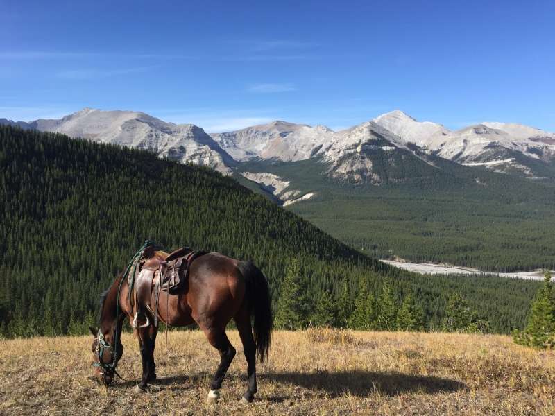 randonnée Canada à cheval