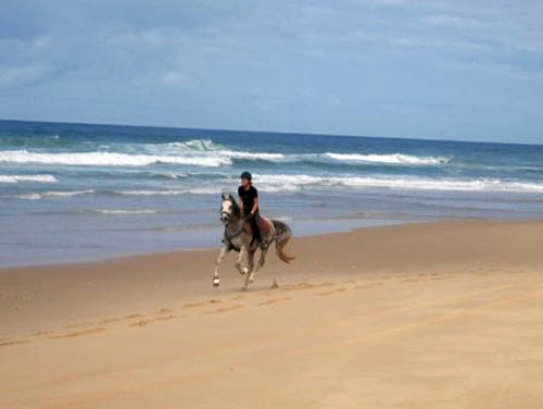 vacances a cheval australie