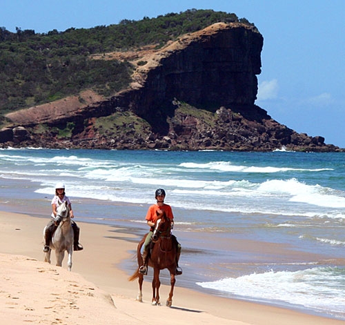 australie a cheval