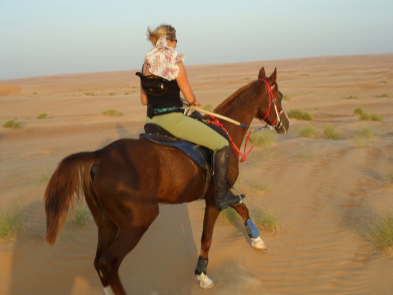 Oman equestrian holiday