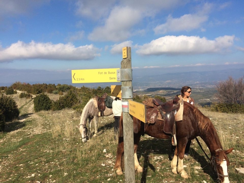 Provence horse riding