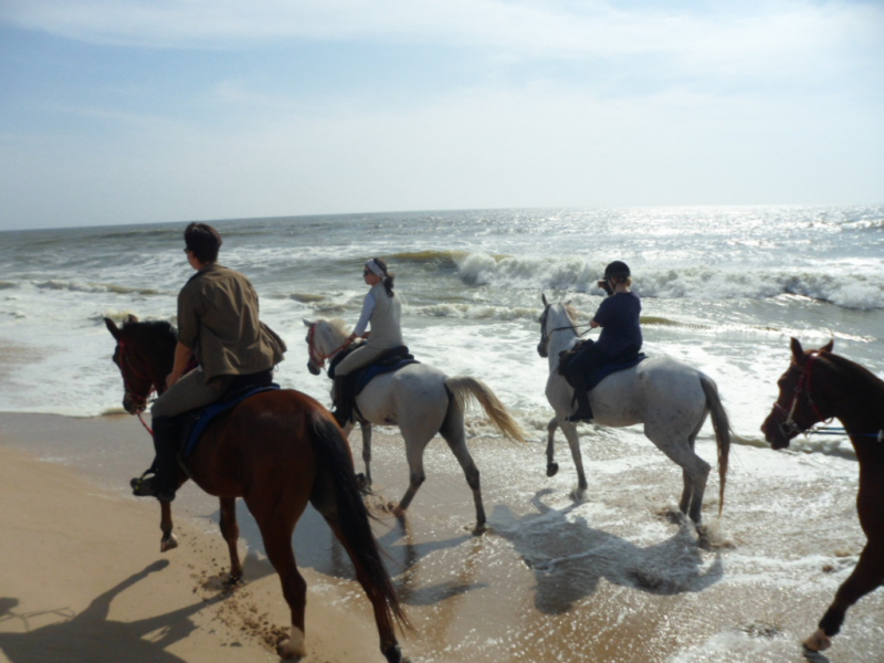 Oman horseback riding