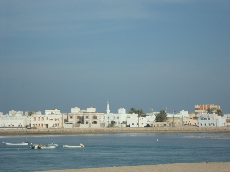 Oman horse riding